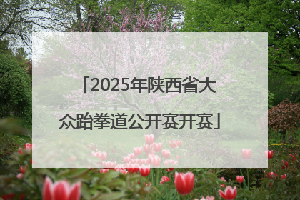 2025年陕西省大众跆拳道公开赛开赛