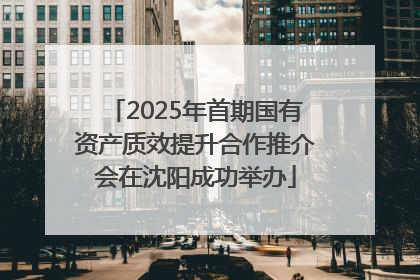 2025年首期国有资产质效提升合作推介会在沈阳成功举办
