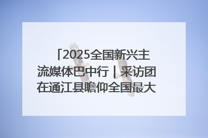 2025全国新兴主流媒体巴中行｜采访团在通江县瞻仰全国最大红军烈士陵园