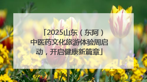 2025山东（东阿）中医药文化旅游体验周启动，开启健康新篇章