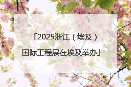 2025浙江（埃及）国际工程展在埃及举办