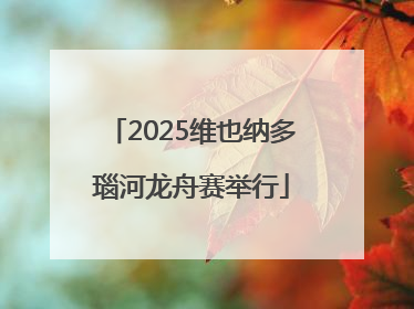 2025维也纳多瑙河龙舟赛举行