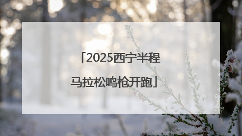 2025西宁半程马拉松鸣枪开跑