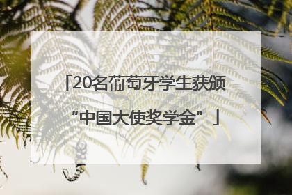20名葡萄牙学生获颁“中国大使奖学金”