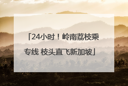 24小时！岭南荔枝乘专线 枝头直飞新加坡