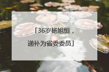 36岁杨旭恒，递补为省委委员
