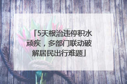 5天根治违停积水顽疾，多部门联动破解居民出行难题