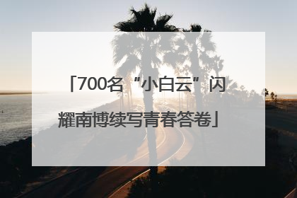 700名“小白云”闪耀南博续写青春答卷