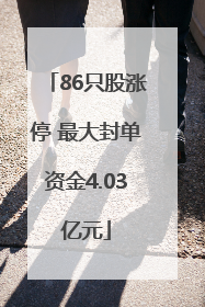 86只股涨停 最大封单资金4.03亿元