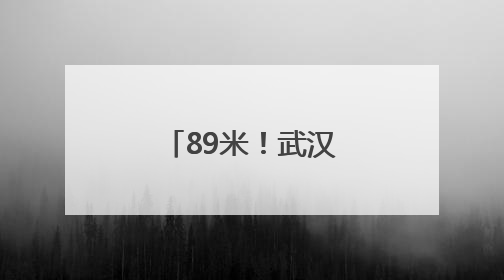 89米！武汉最高摩天轮在汉阳正式开转
