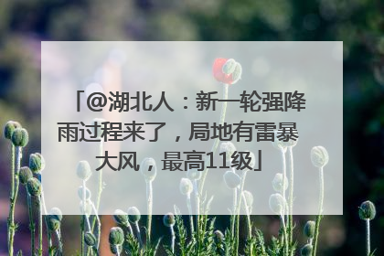 @湖北人：新一轮强降雨过程来了，局地有雷暴大风，最高11级