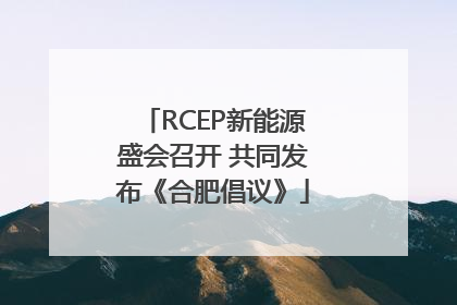 RCEP新能源盛会召开 共同发布《合肥倡议》