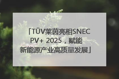TÜV莱茵亮相SNEC PV+ 2025，赋能新能源产业高质量发展